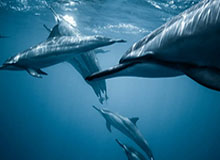 开云官方网站-“村超”见证“粤H”与“贵H”两地情谊